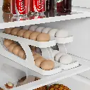 EGG-DESPANSOR-TRAY-5.webp