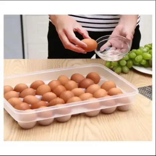 Egg Storage Box 34/24-Grid